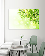 Obraz Zelená vetvička 1581